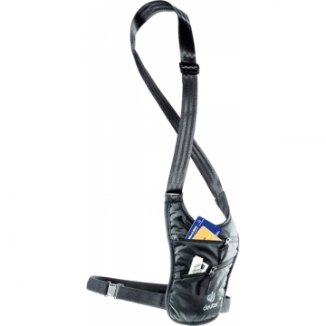 Security Holster