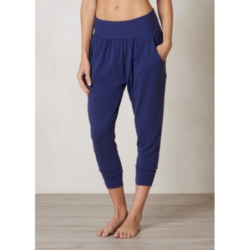 Ryley Crop
