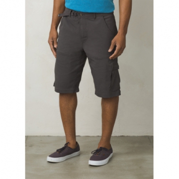 Stretch Zion Short